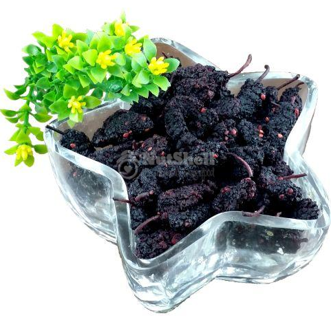 Dried Mulberry (Thailand)